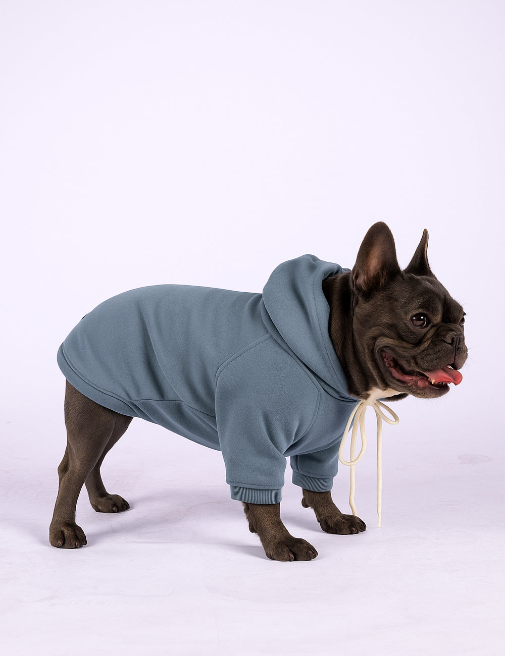 Dusty Blue Hoodie