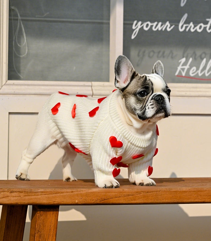 Cream Heart-3D Motif Pet Sweater