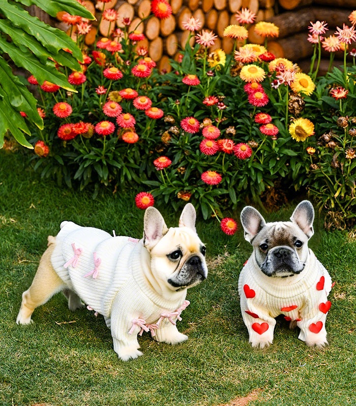 Pink Bow-3D Motif Pet Sweater