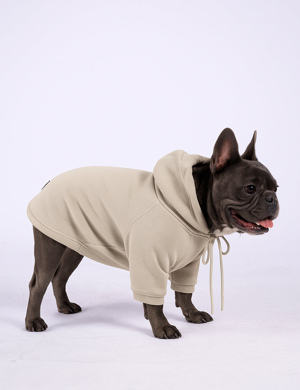 Desert Tail Hoodie