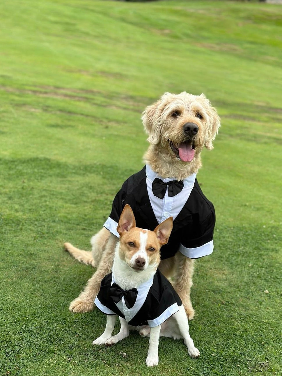 Wedding Dogs Tuxedo Set